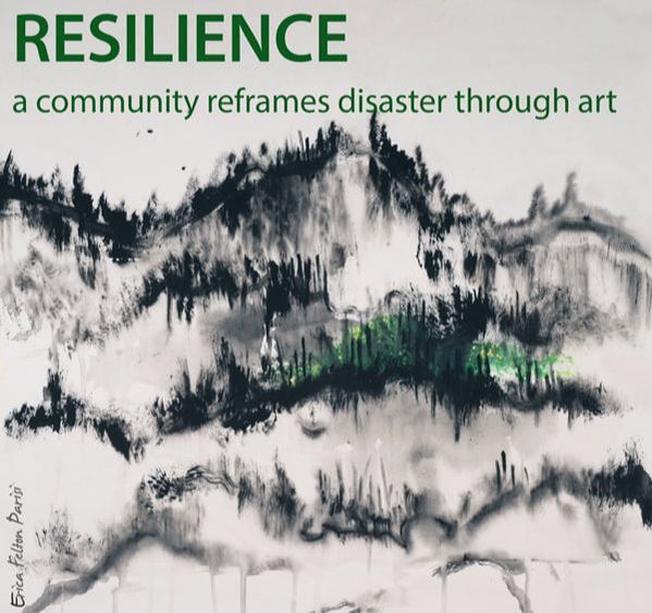 Resilience Book 