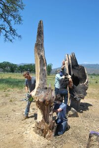 Picture of art installation on Sculpture Walk, Middletown, California