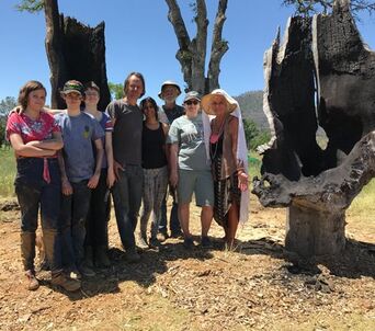 Picture of art installation on Sculpture Walk, Middletown, California