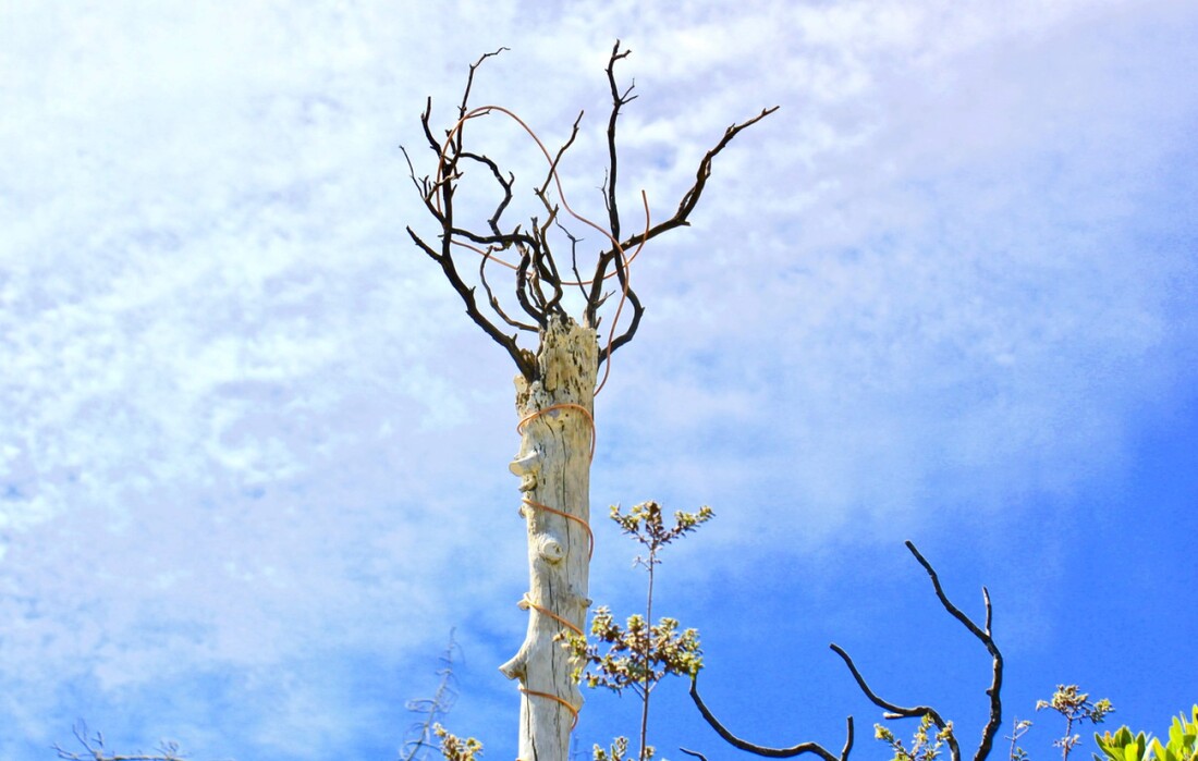 Picture, artwork installation on Rabbit Hill